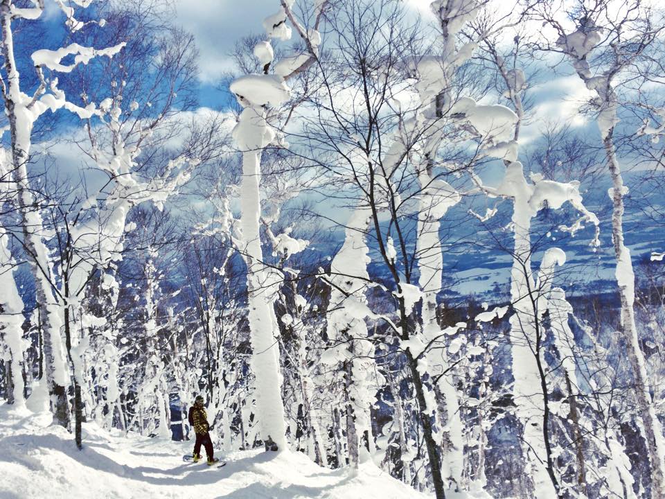 Skiing and snowboarding Niseko Japan